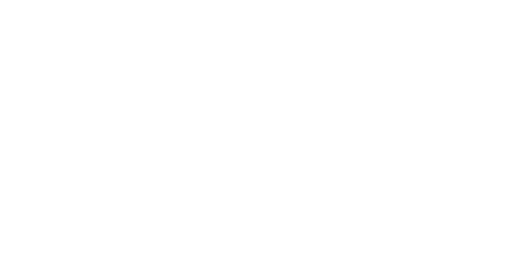 Fielmente - India’s Leading