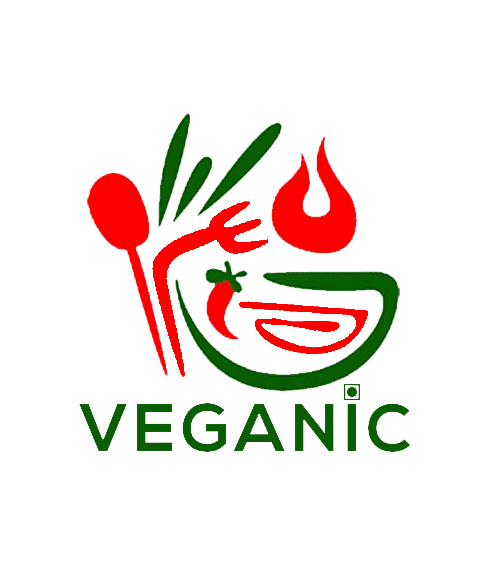 vegnic logo